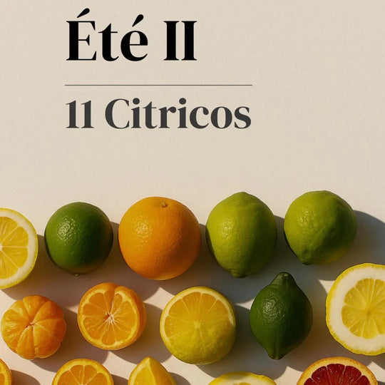 Été II: 11 Cítricos frescos, naranjas, limones y limas para decoración natural y diseño contemporáneo