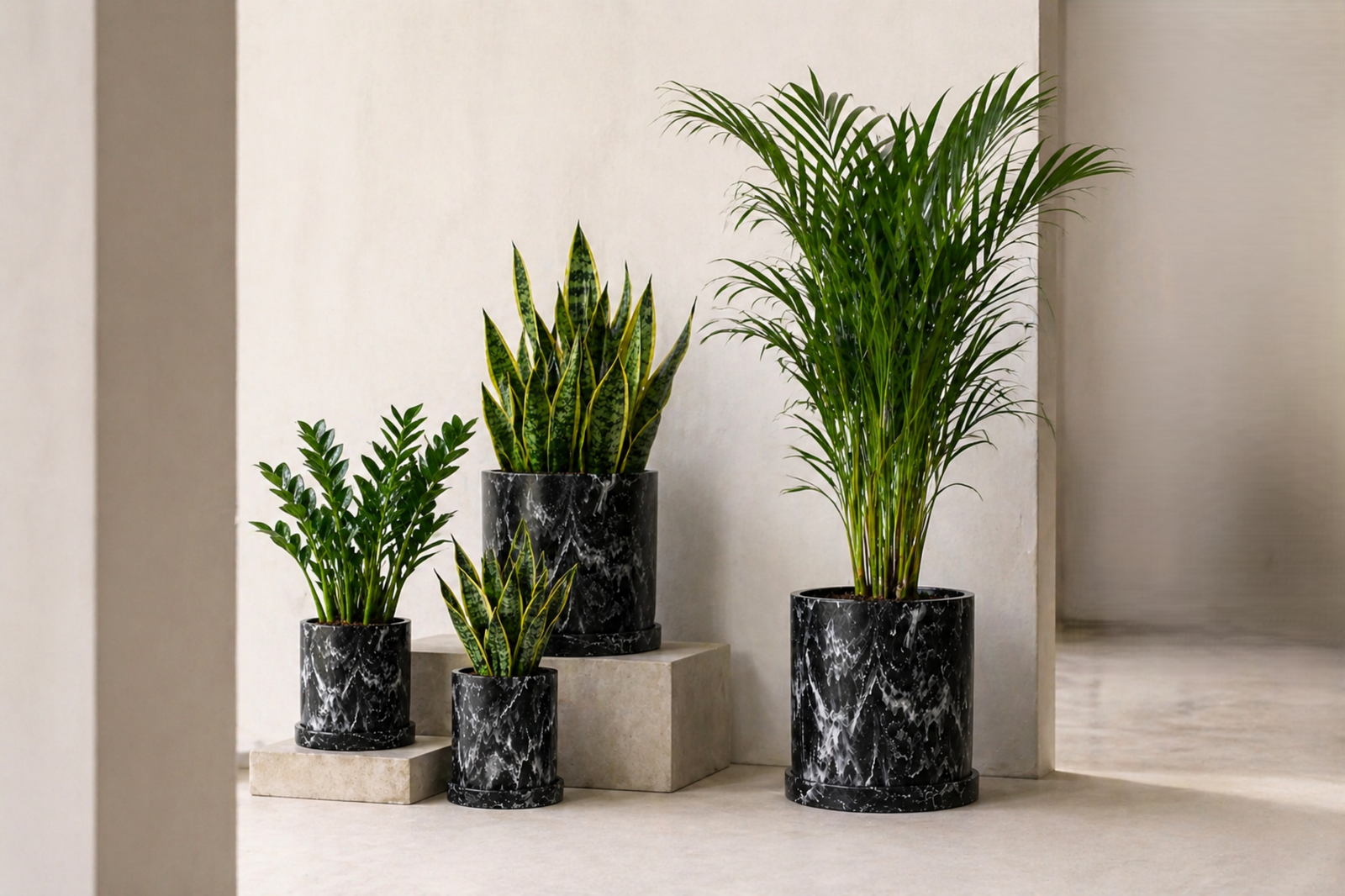 Plantas, Macetas y Decoración para Interiores | MXPLANTAE