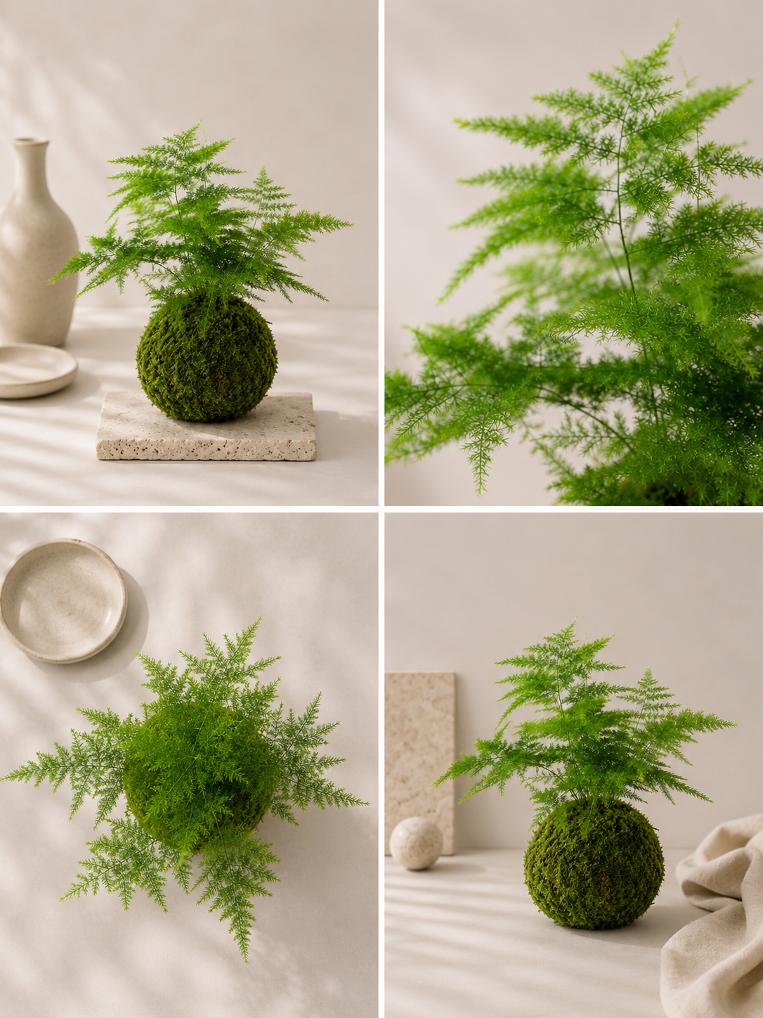 Kokedama