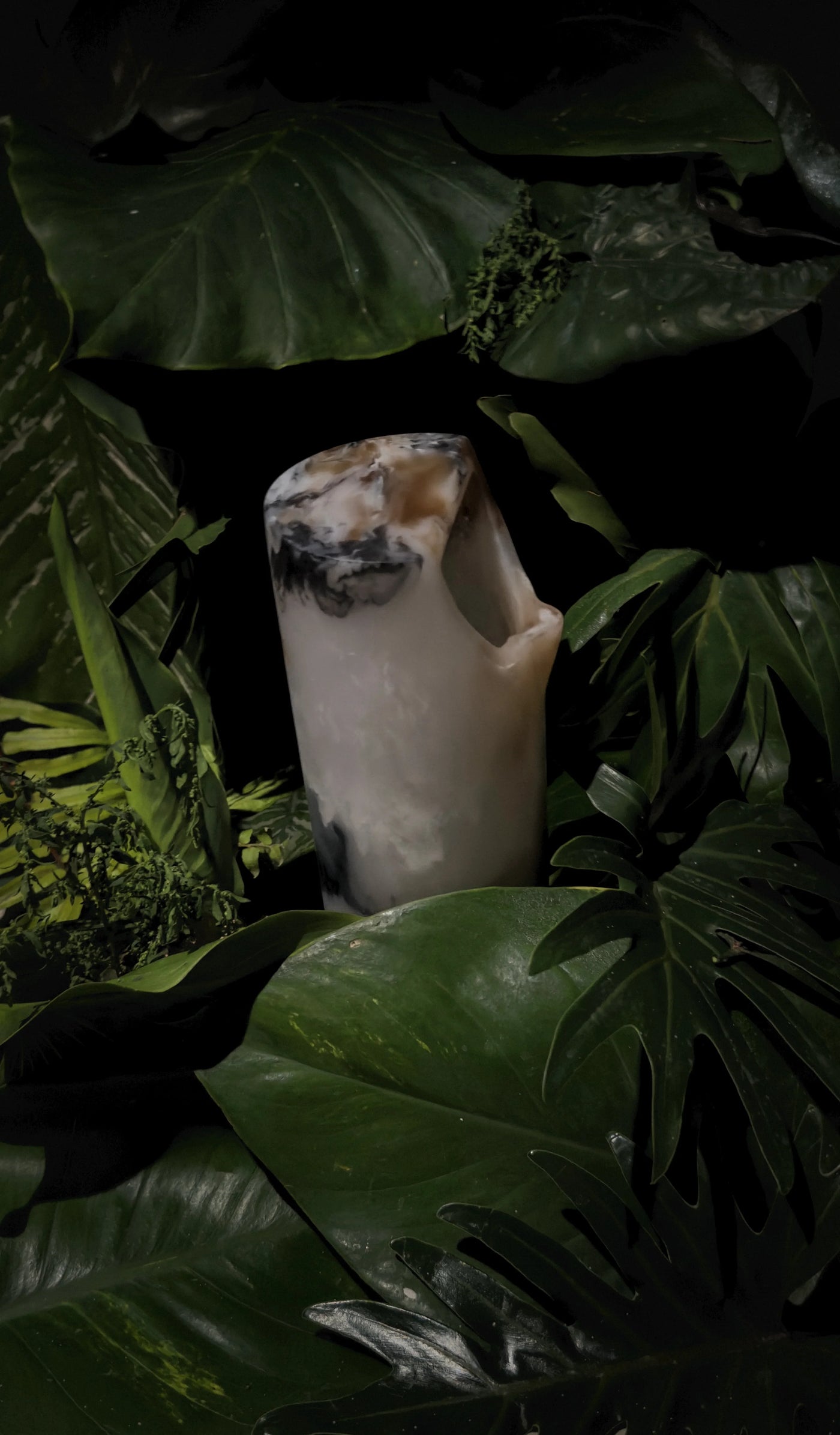 Planta MXPLANTAE para contacto